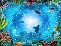 Цены фото на наливные 3D полы с рисунком – фотопечать